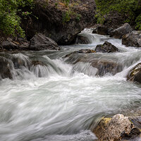 220619-1609-R5.jpg