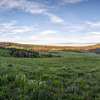 220709-2066-67.jpg
