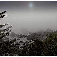 TT-AnnularEclipse.jpg