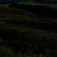 220802-2337-R5-CR3_DxO_DeepPRIME-2 crop+exp 2.jpg