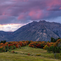 220929-2579-R5-CR3_DxO_DeepPRIME crop.jpg