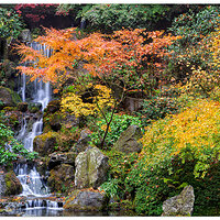 PJG-HeavenlyFalls110109-2.jpg