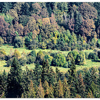 DJI_M3-SC-EarlyColors.jpg