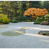 PJG-FlatGarden112011.jpg