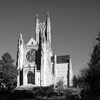 110201_mk3_3838-CR2_DxO_DeepPRIME B&W.jpg