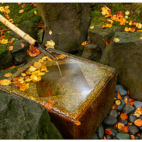 PJG-NaturalGardenFountain102911.jpg