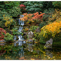 PJG-HeavenlyFalls110208.jpg