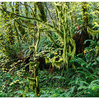 CapeCreekHeadlands.jpg
