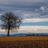 _D810126 (1).jpg