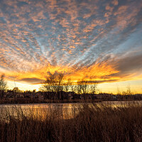 _D810198-NEF_DxO_DeepPRIME.jpg