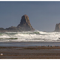 SS-CannonBeach060605.jpg