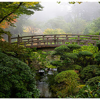 PJG-EarlyFallMoonBridge101908.jpg