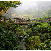 PJG-EarlyFallMoonBridge101908.jpg