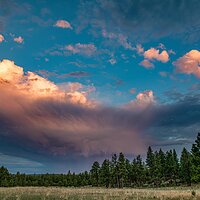 Monsoon_Evening