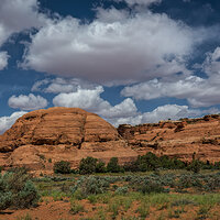 140507-6816-5dm3 (1)-CR2_DxO_DeepPRIME.jpg