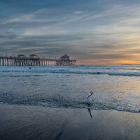_D814652-NEF_DxO_DeepPRIME.jpg