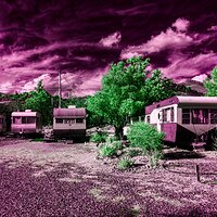 shady_dell_032023-2