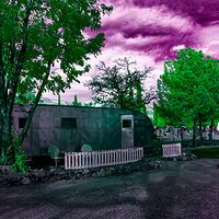 shady_dell_032023-4