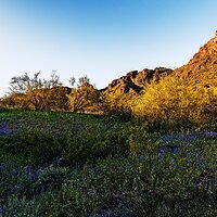 picacho_peak_031823-10