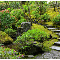 Stairs From the Natural Garden