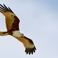 7D2_2727.jpg