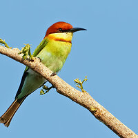 7D2_2925.jpg