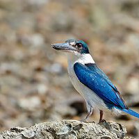 7D2_3050.jpg