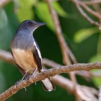7D2_3299.jpg
