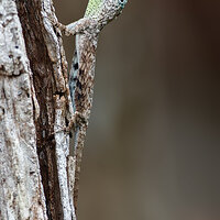 7D2_3487.jpg