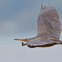 7D2_3877.jpg