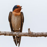 7D2_3904.jpg