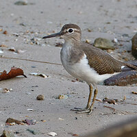7D2_3996.jpg