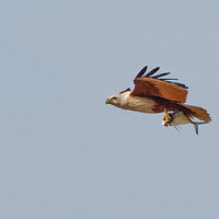7D2_4018.jpg
