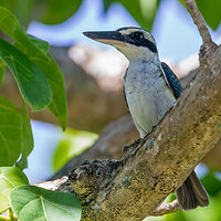 IMG_8778a.jpg