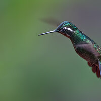 7D2_3998.jpg