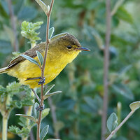 7D2_3042.jpg