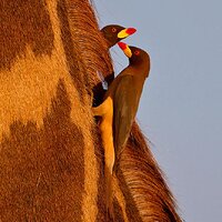 IMG_3214.jpg