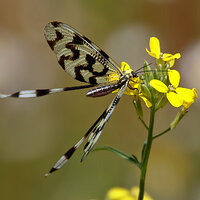 7D2_7042.jpg