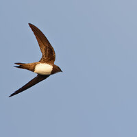 7D2_6069.jpg