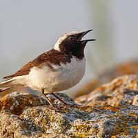 7D2_6044.jpg