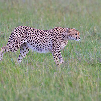 IMG_7499.jpg