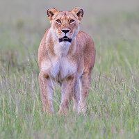 IMG_7560.jpg