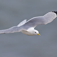 7D2_5904.jpg