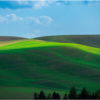 _BRC1866PalouseHills169CropFB.jpg