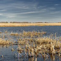Flooded Fields.jpg