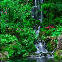 _B4C0652JapGardenFall45CropFB.jpg