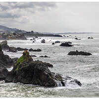 SS-SonomaCoastSP2019.jpg