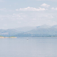 _DSC2702-1 copy.jpg