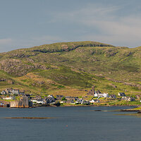 _DSC2833-1 copy.jpg