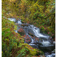SC-PoolsNCascades110322.jpg